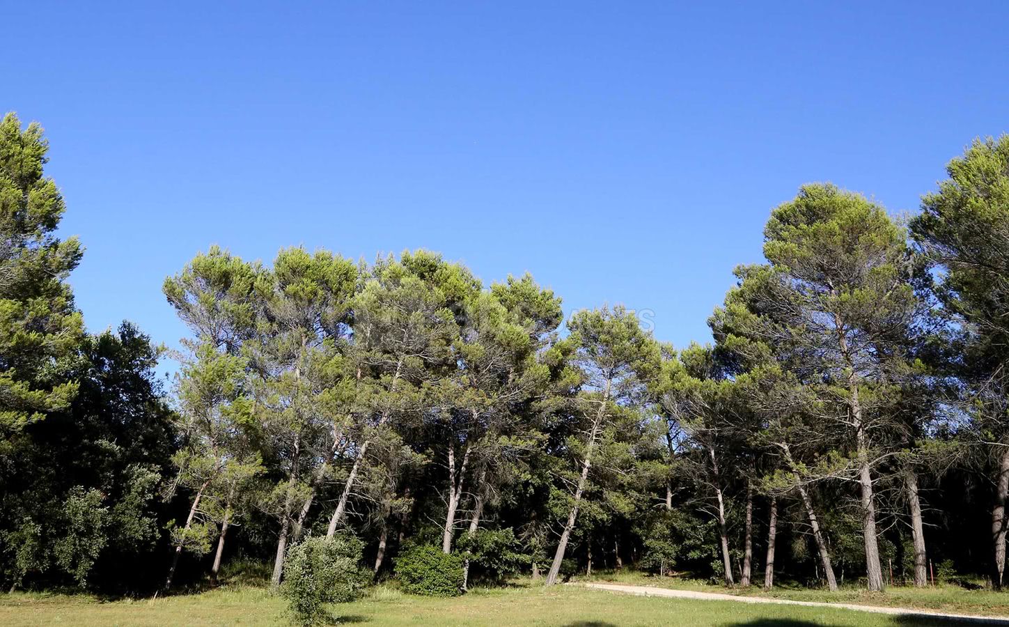 Extérieur Domaine Rampale
