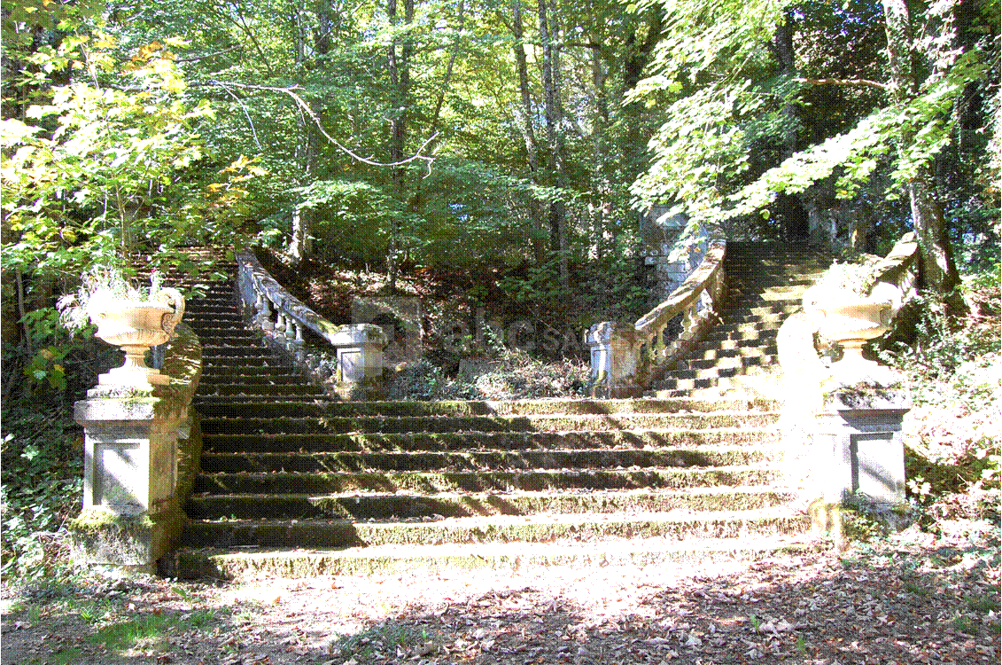 Escalier legion d'honneur