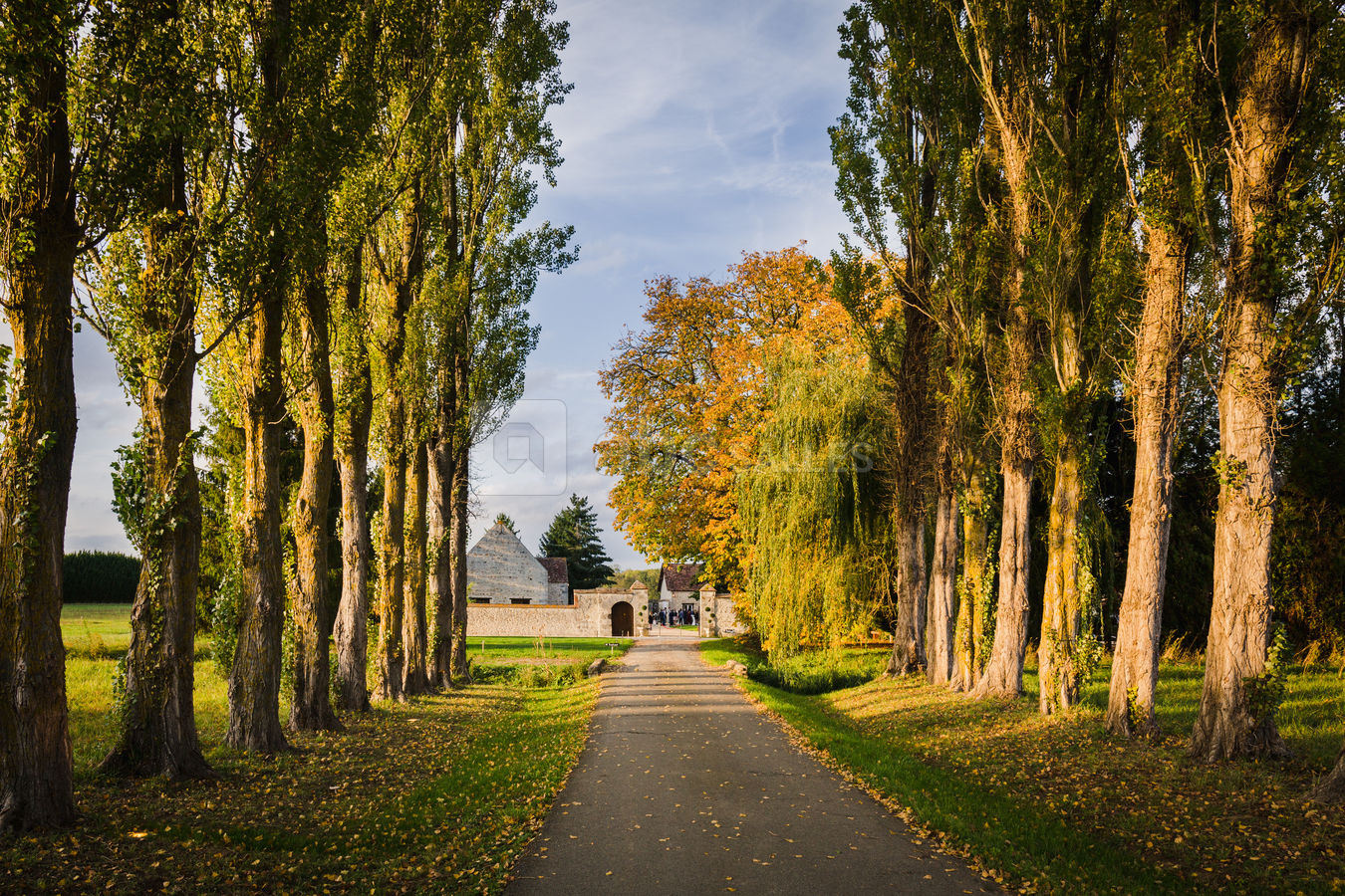 L'entrée du domaine en automne