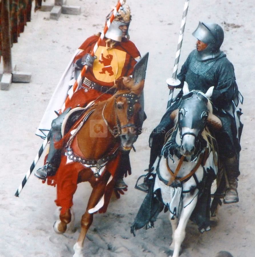 Spectacle de chevalerie