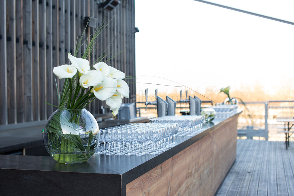 Bar à la terrasse