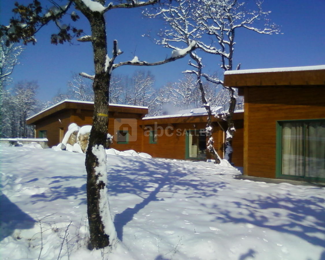 Sous la neige