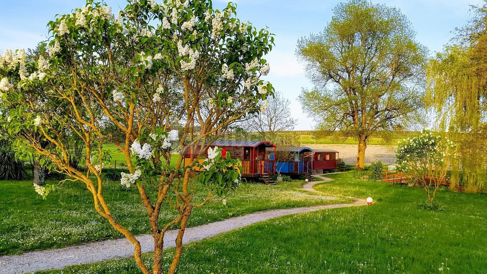 Le jardin au printemps