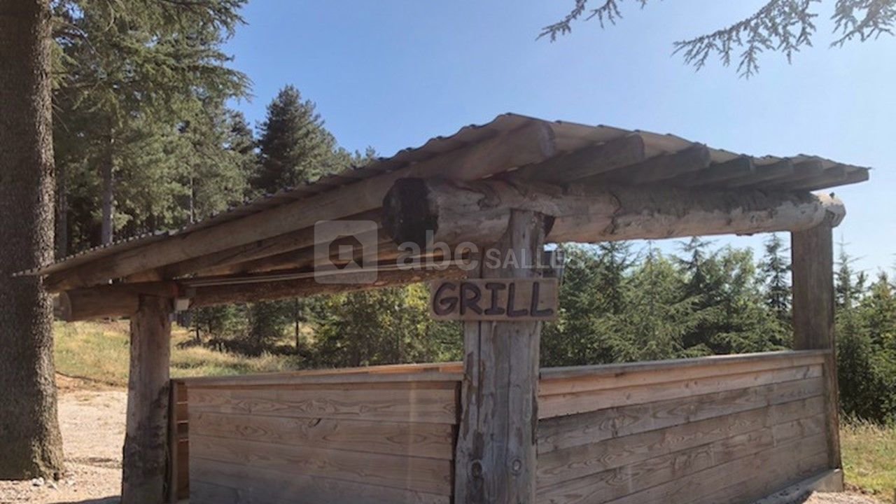 Espace grillades avec plancha
