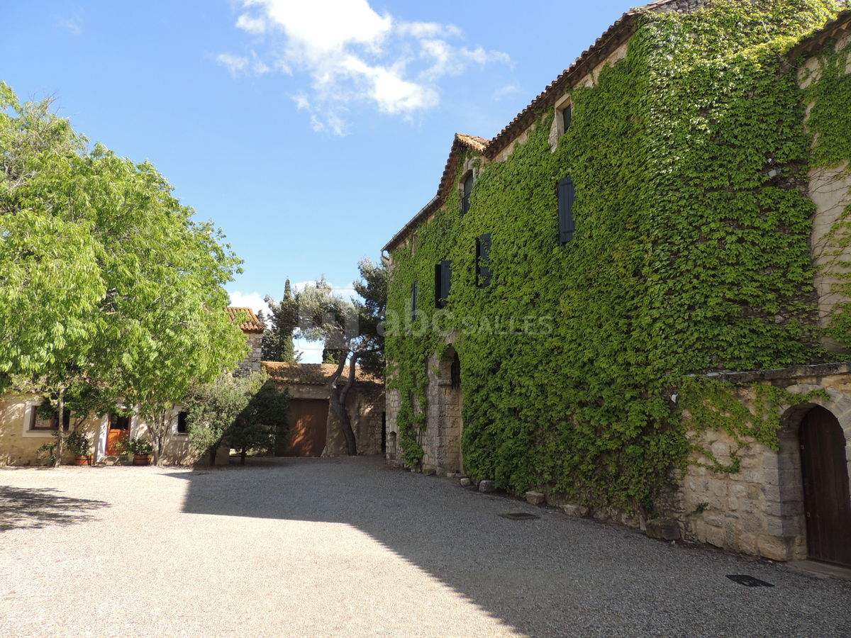 Cour du château