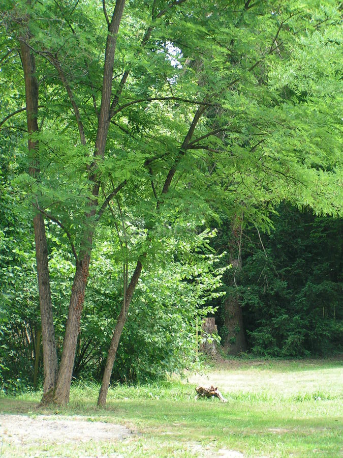 Clos des Sources jardin