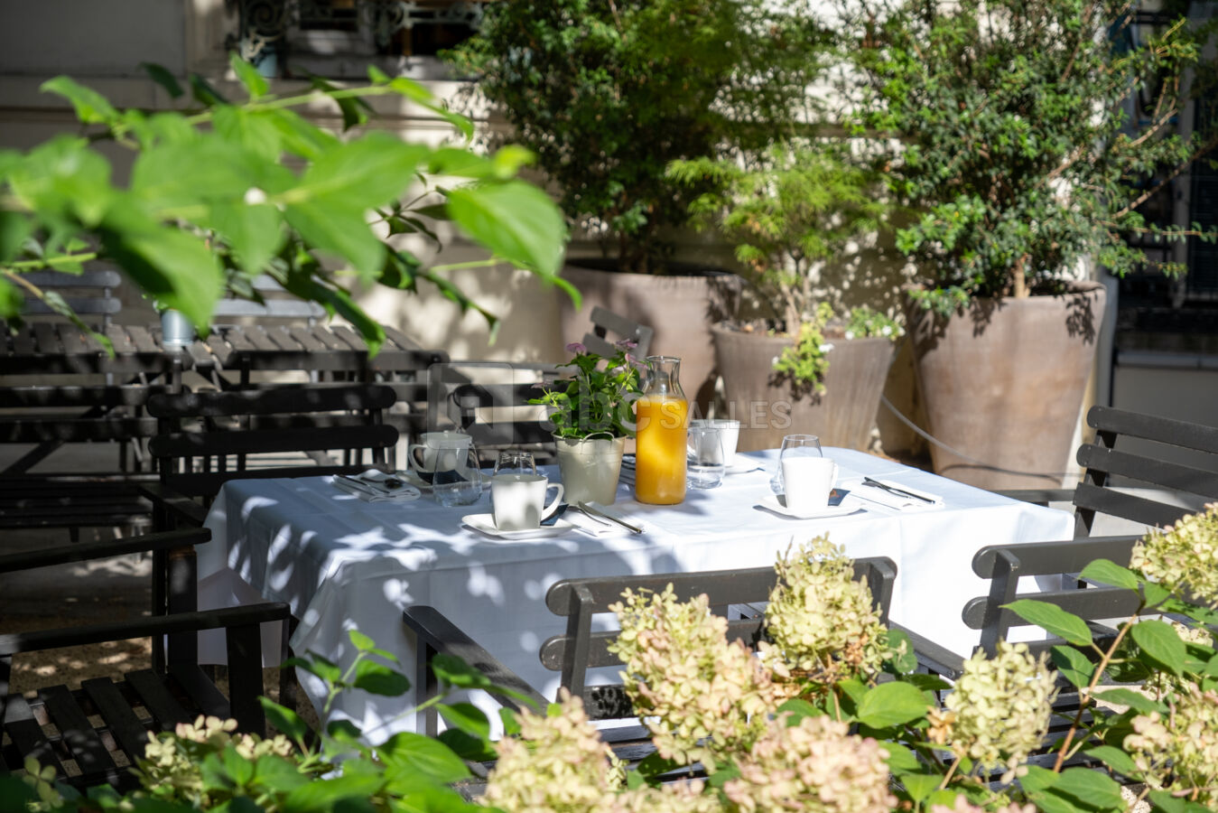Le jardin de Carrare