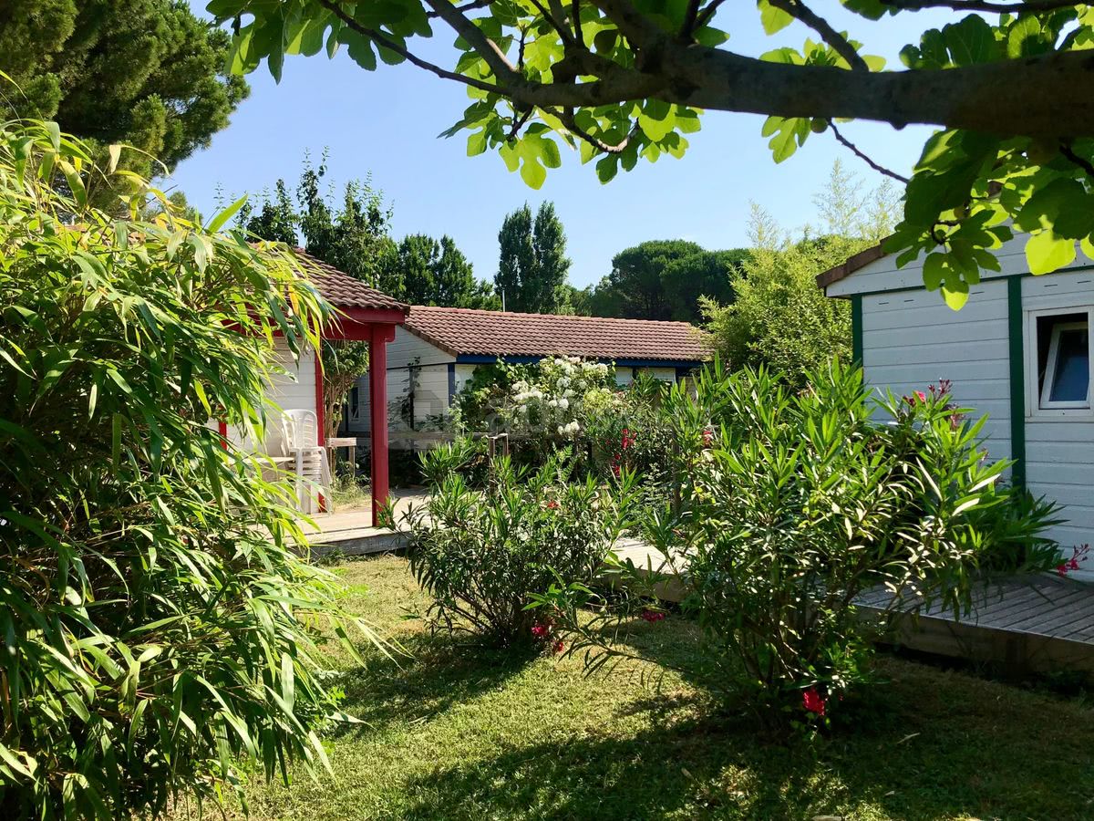 Maissonette