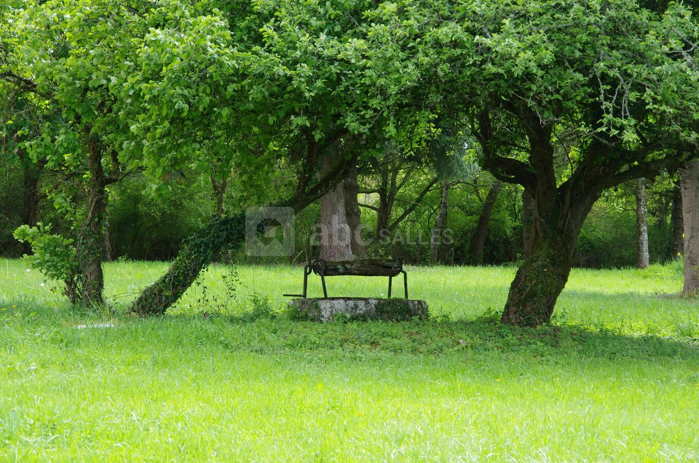 Jardin