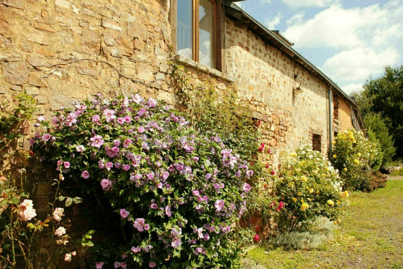 Gite De La Charnie Saint Denis D Orques