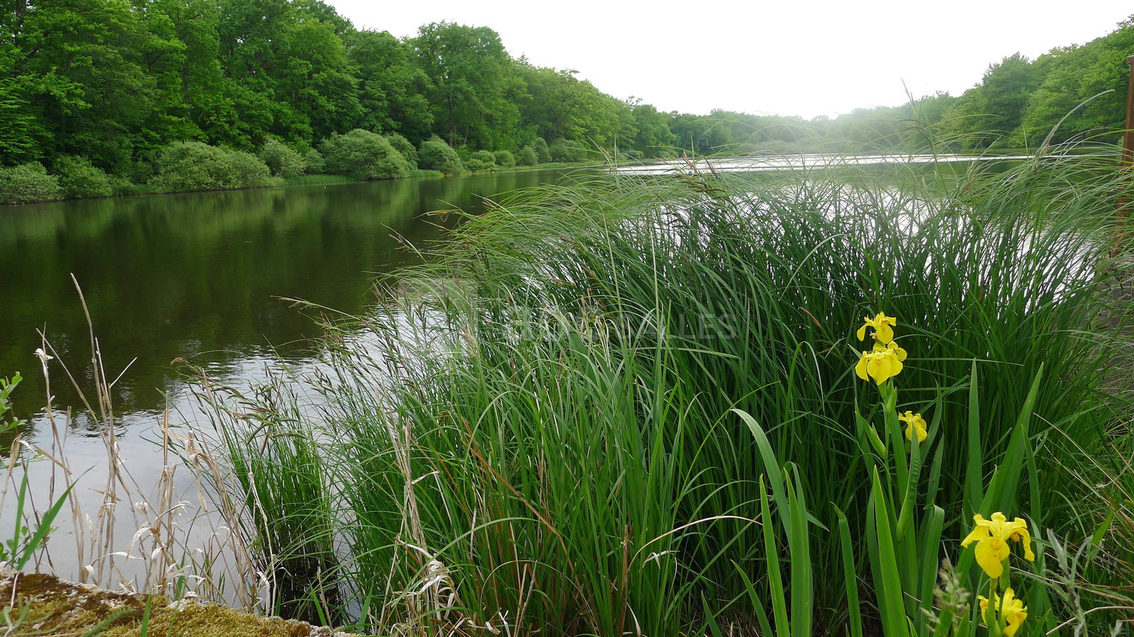 Un endroit merveilleux pour réaliser des photos de mariage mémorables