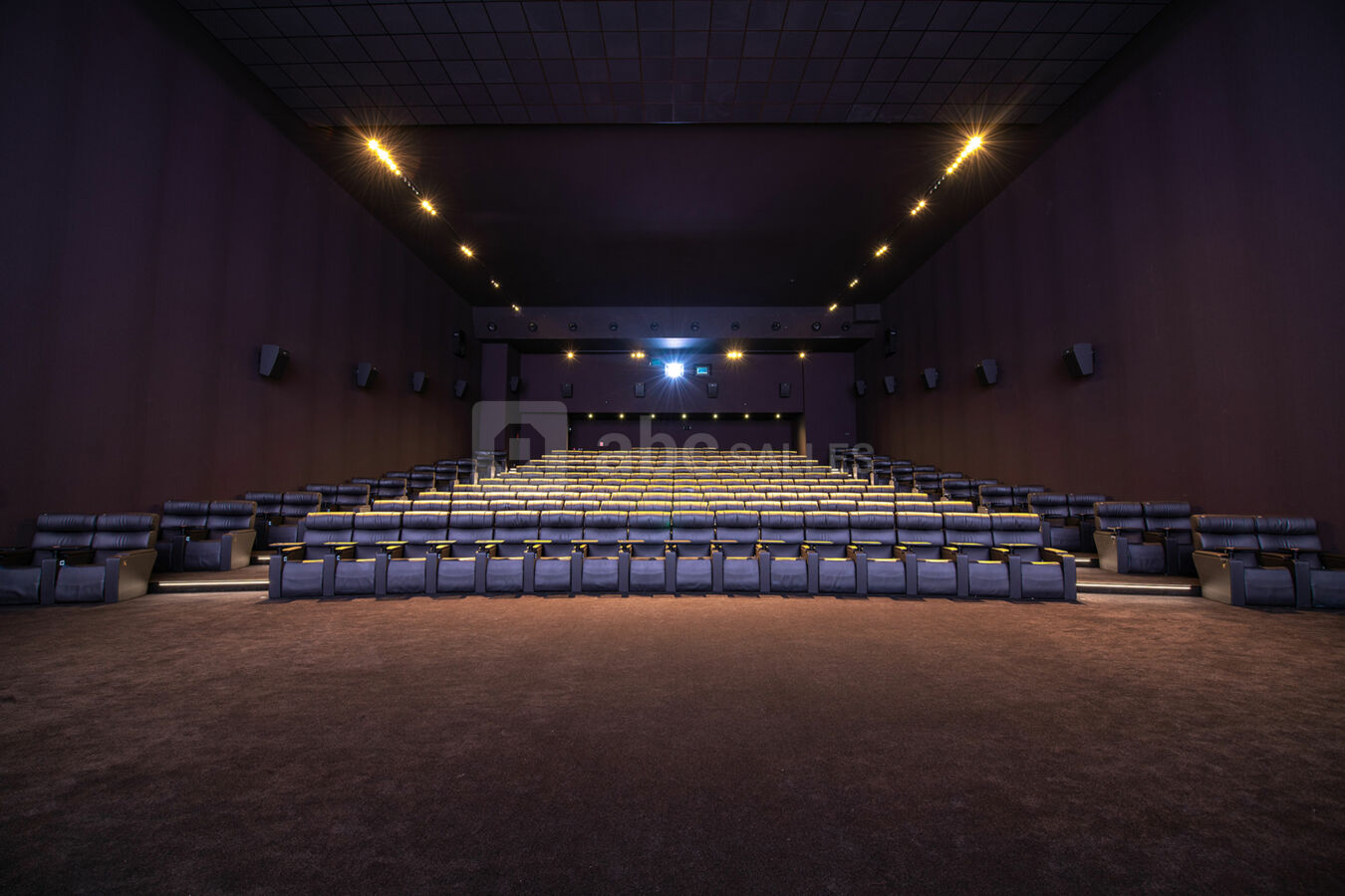 Salle 5