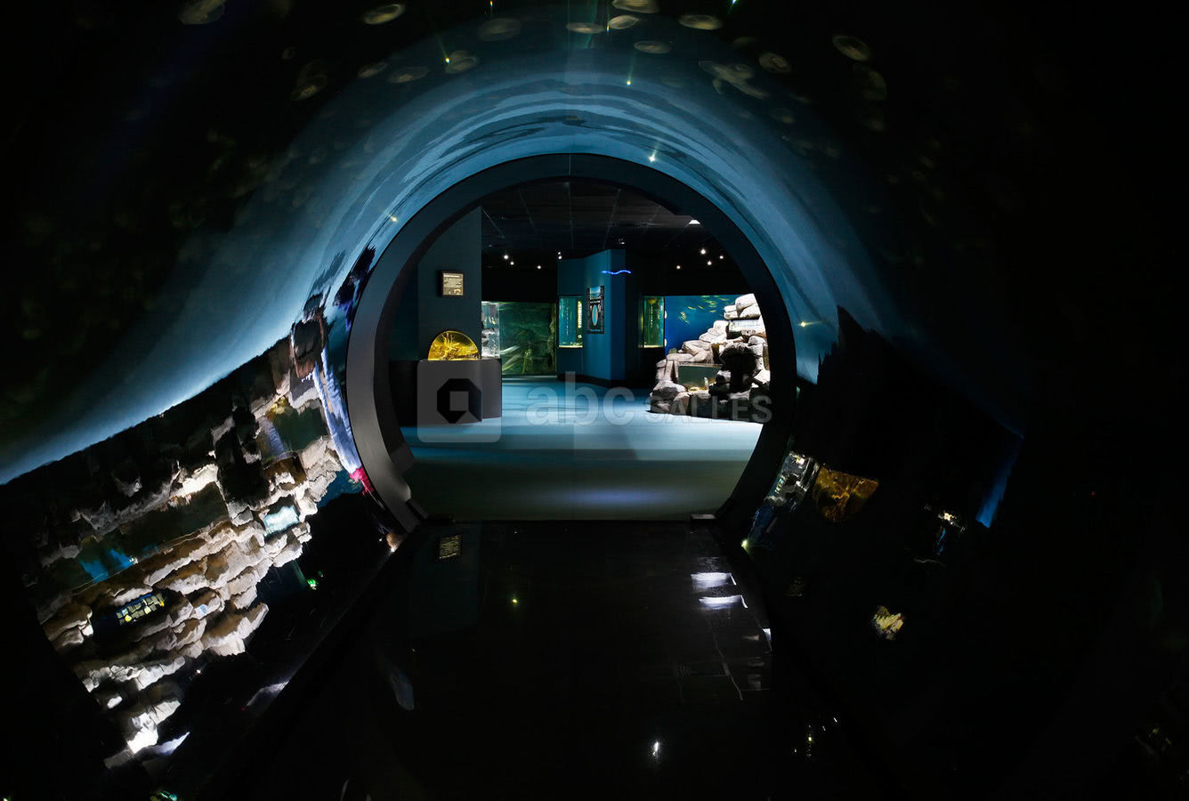 Aquarium La Rochelle ABC Salles