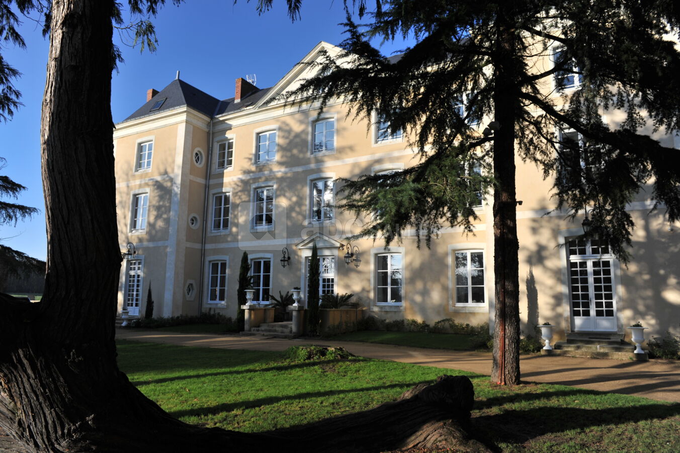 Château