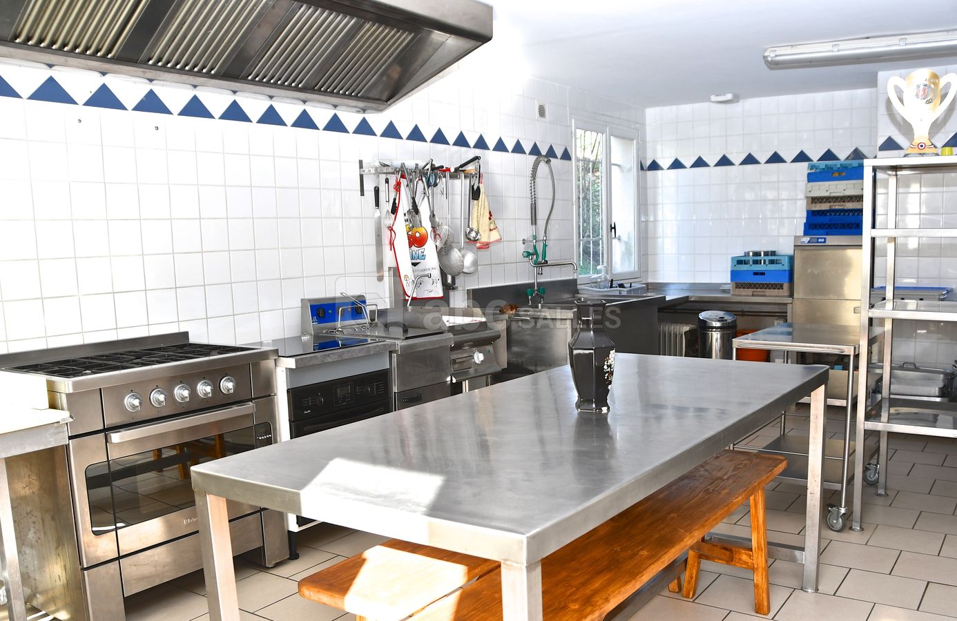 Hotte professionnel