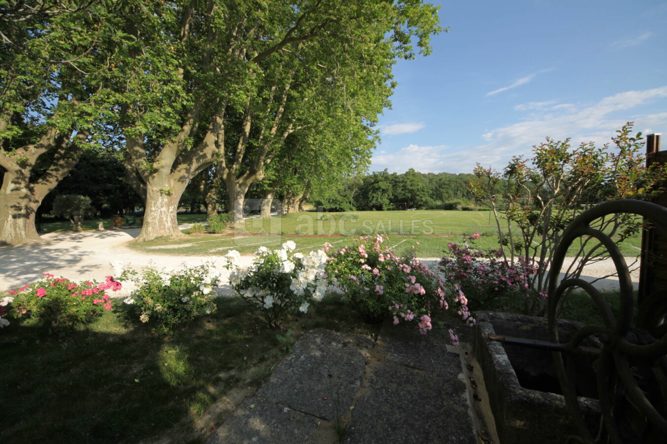 Vue sur le parc du Mas