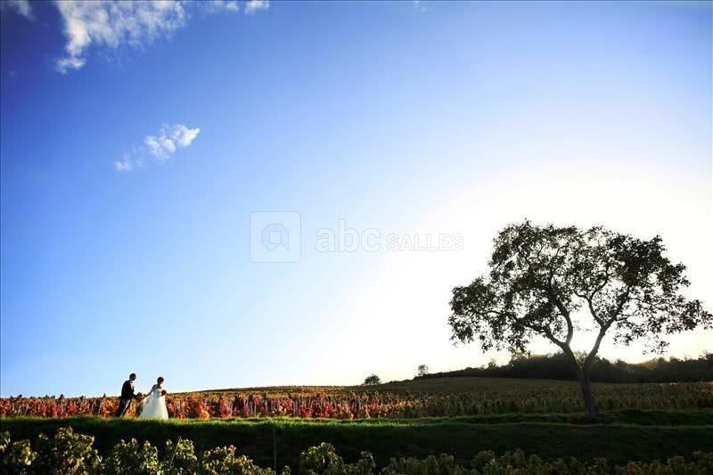 Photo de mariés dans le vignoble du château
