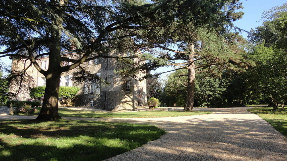 Le Château (1)