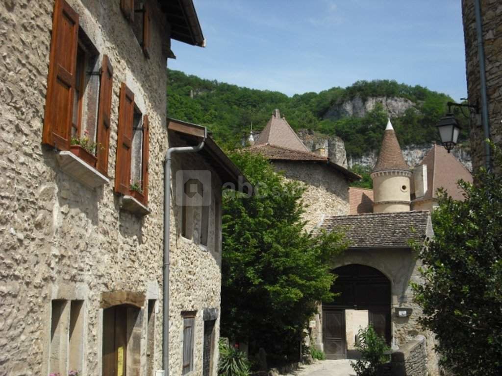 Château de Saint Sorlin