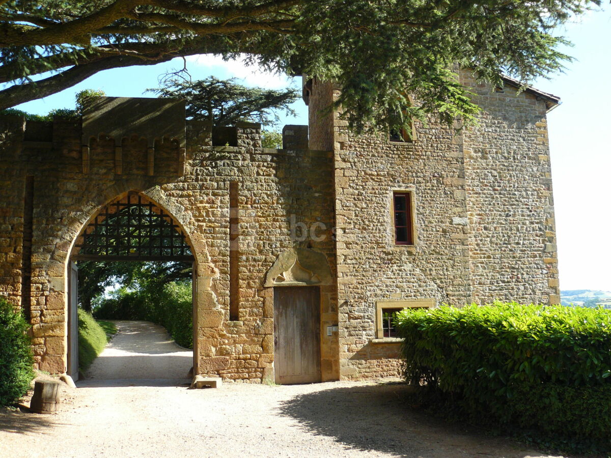 Château de Saint Sorlin