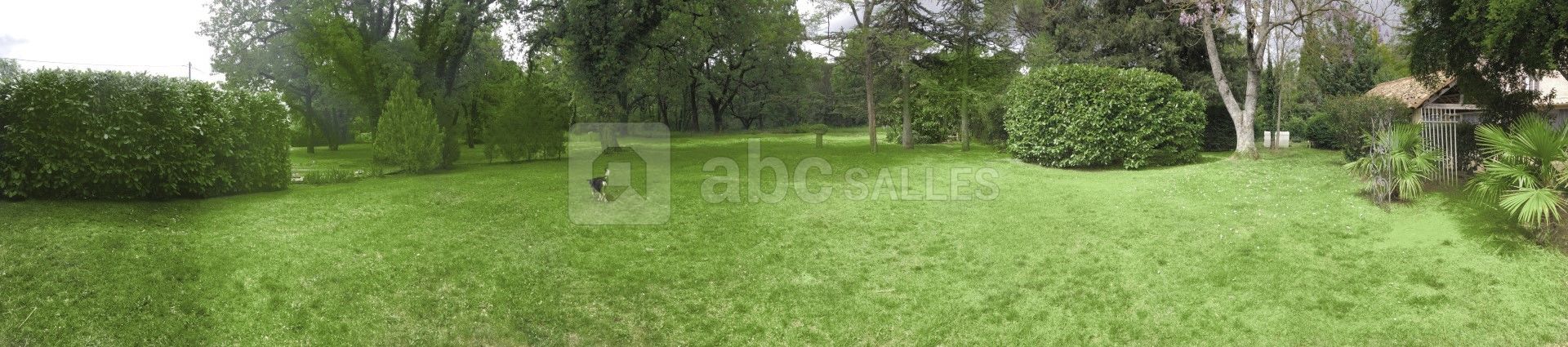 Jardins pour photos de 1 hectare dans le domaine