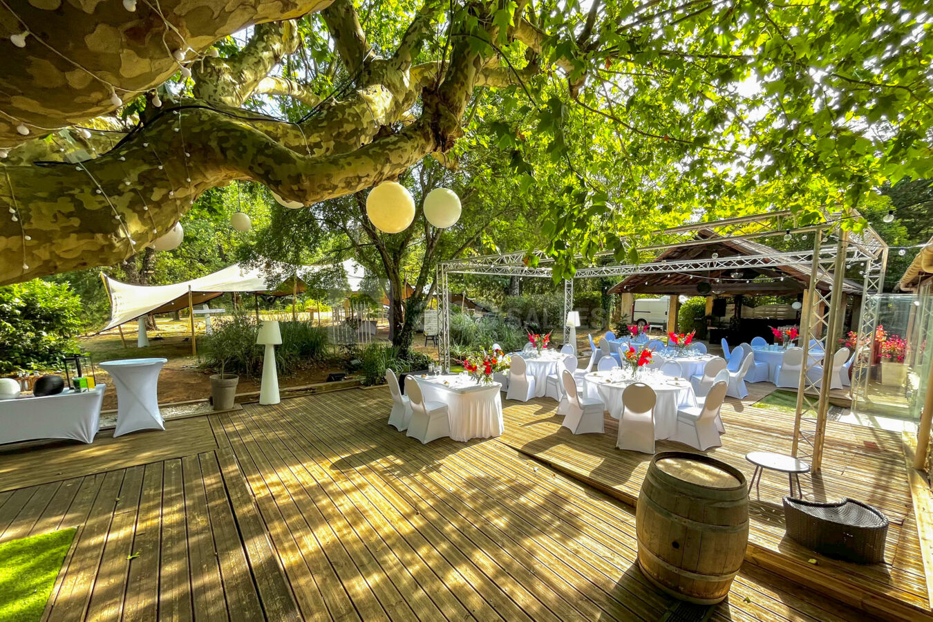 Mariage à l'ombre des arbres