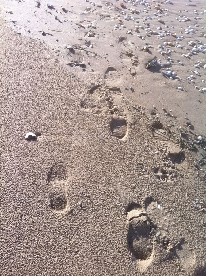 A seulement 5 minutes de la plage de Houlgate
