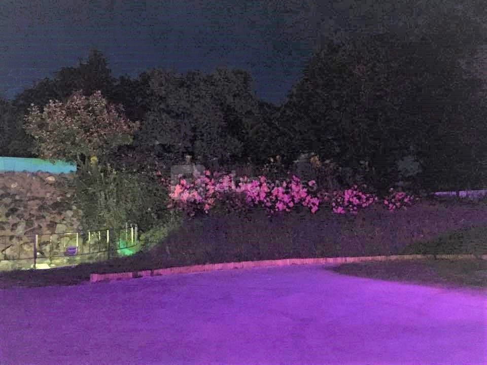 Terrasse et cascade d'eau en soirée