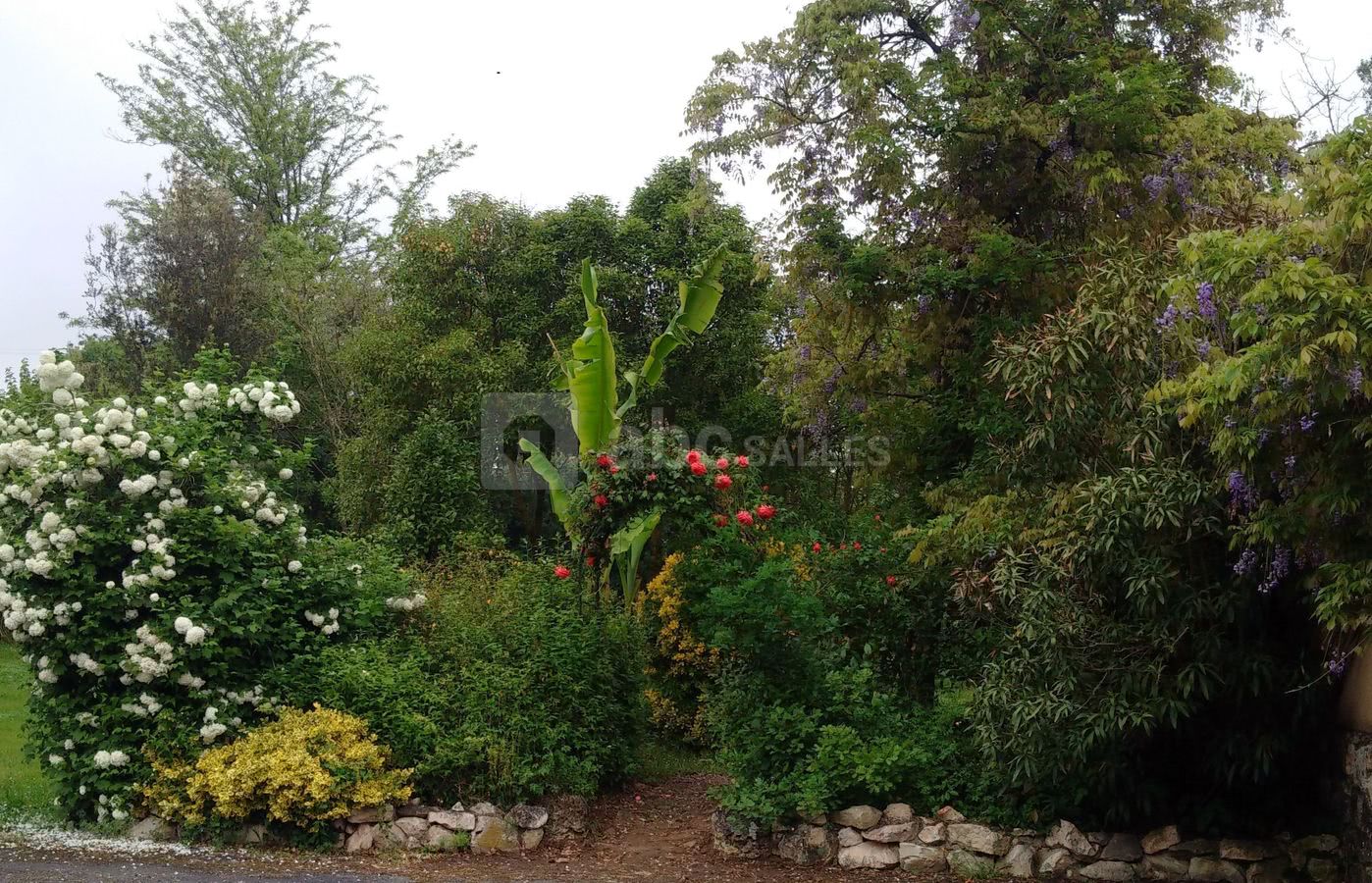 Jardin exotique