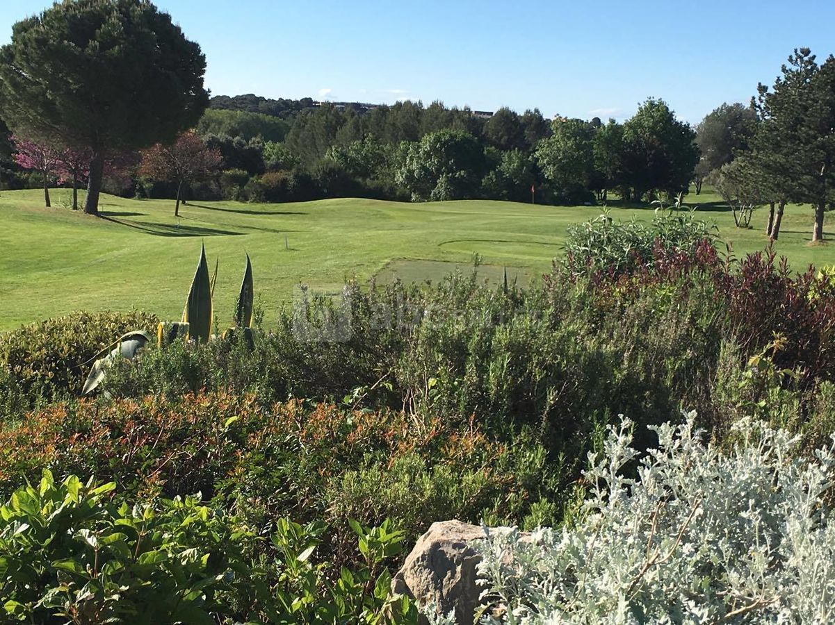 Vue Golf