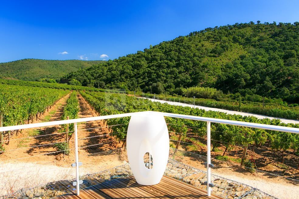 Point de vue terrasse salle asbolut