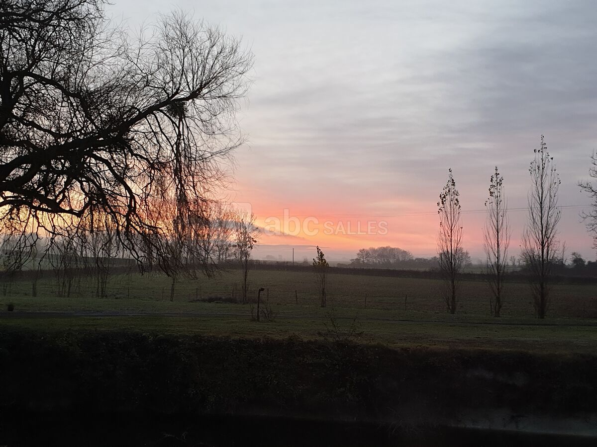 Alchimie des Colombes