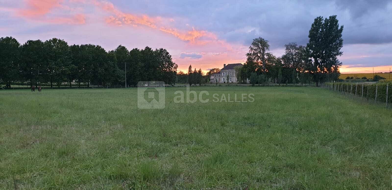 Alchimie des Colombes