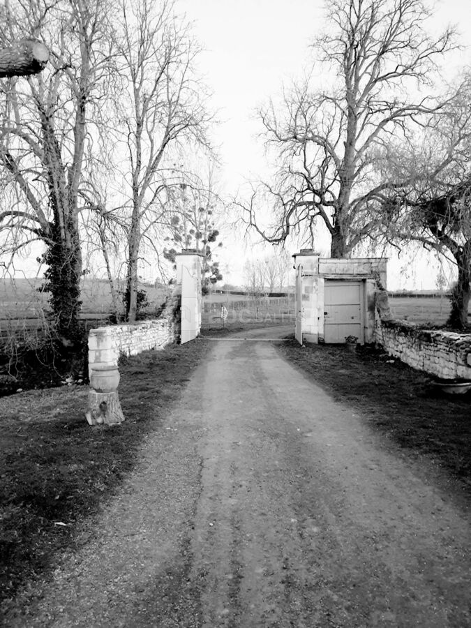 Alchimie des Colombes