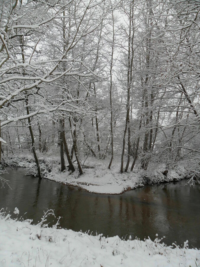 Neige
