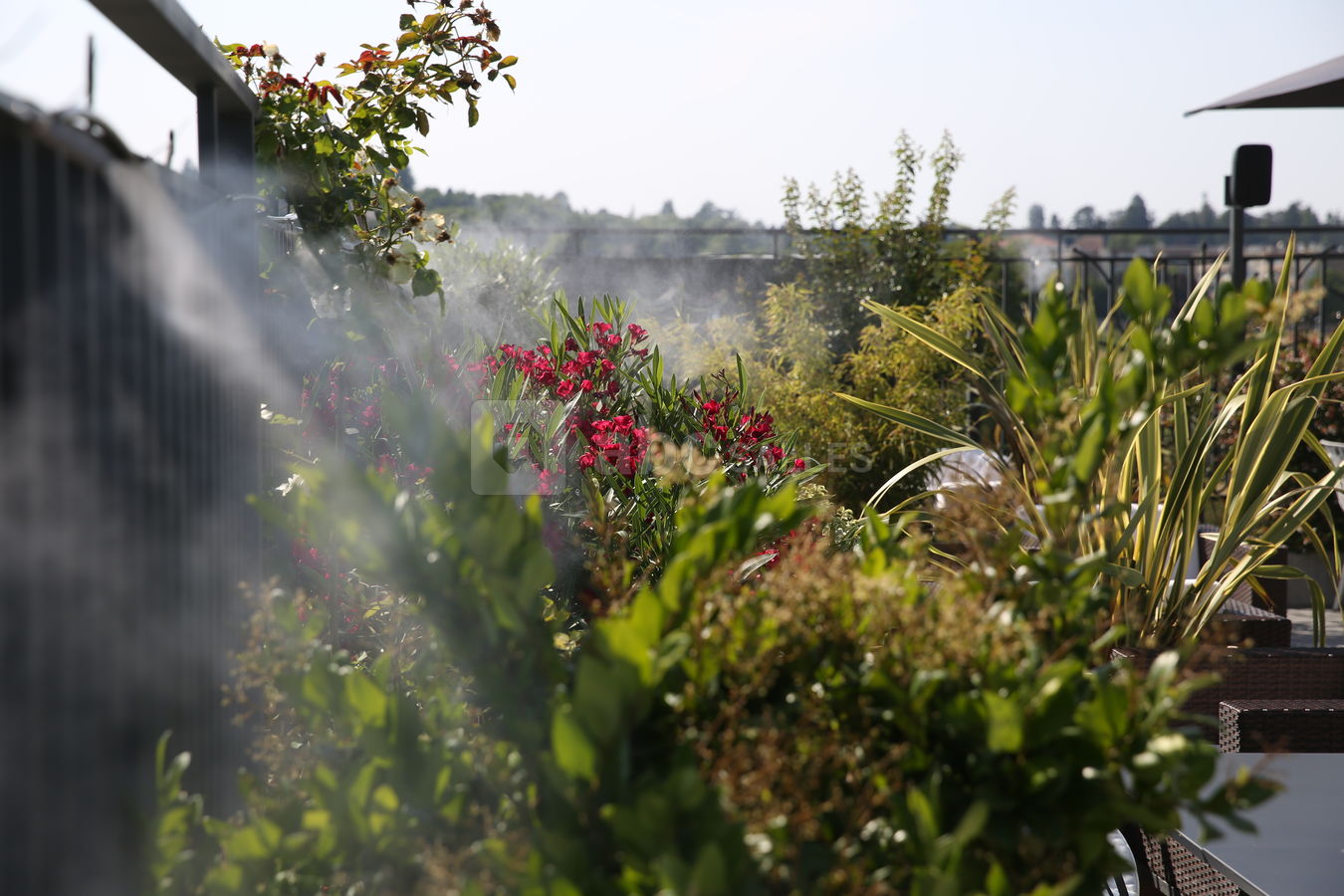 Notre rooftop est équipé de brumisateurs pour mieux profiter de l'été