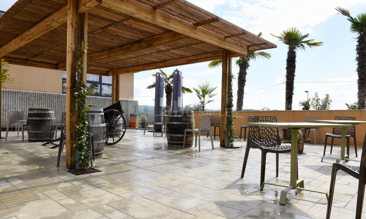 Bacchus Events