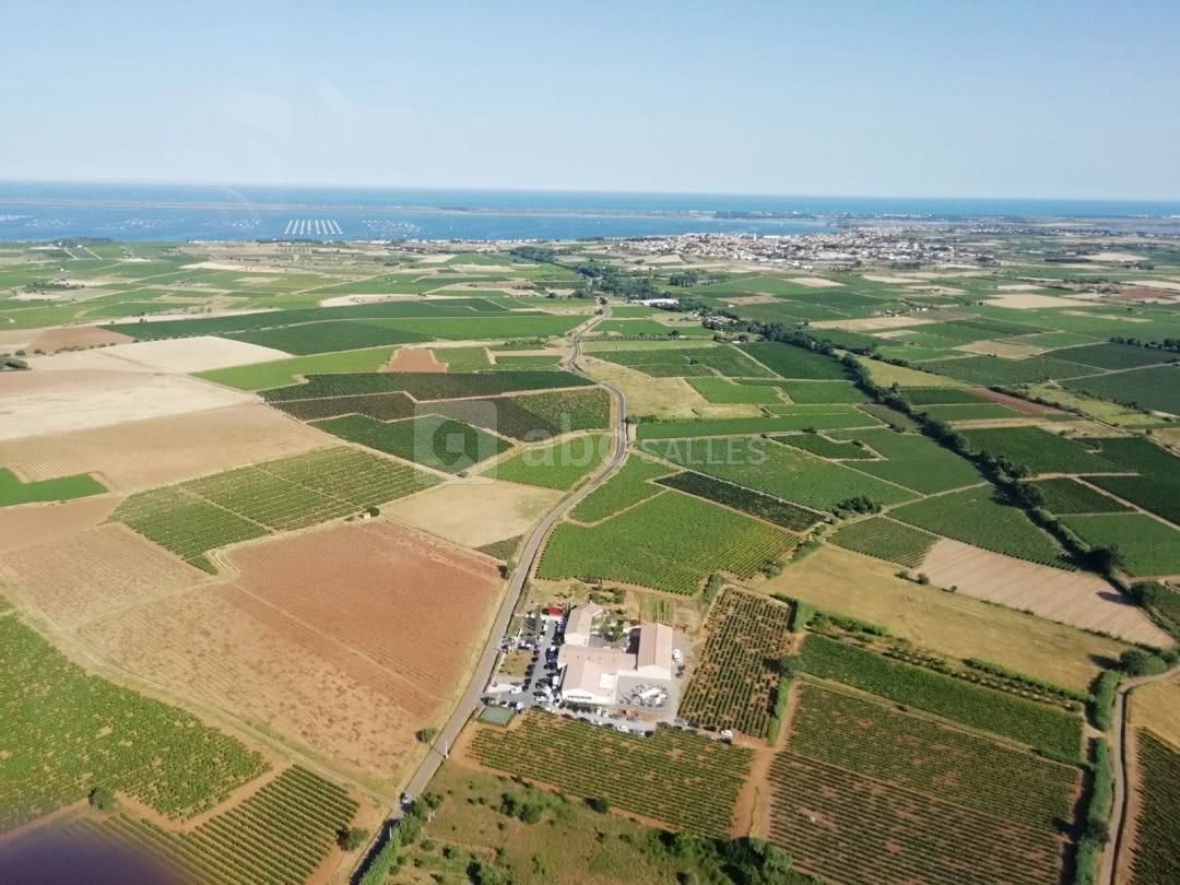 Vue aérienne