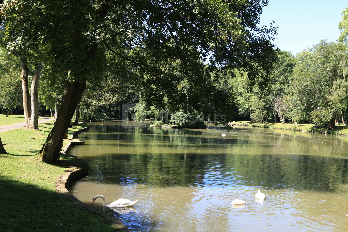 Le Parc de Gressy pour vos photos