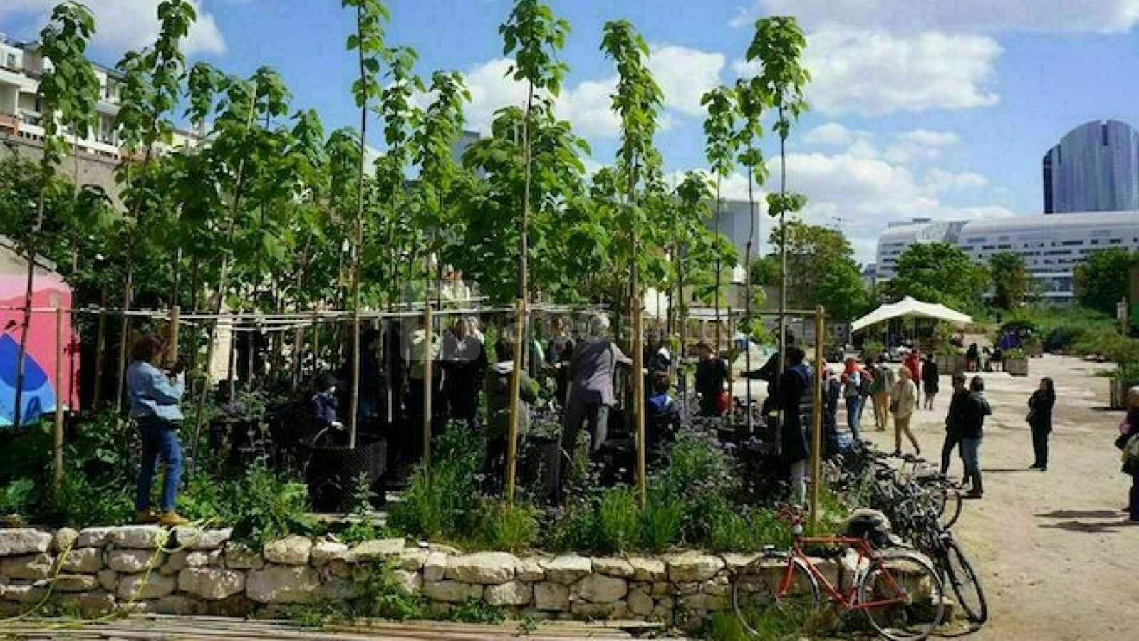 Une pépinière et un poumon vert pour le quartier