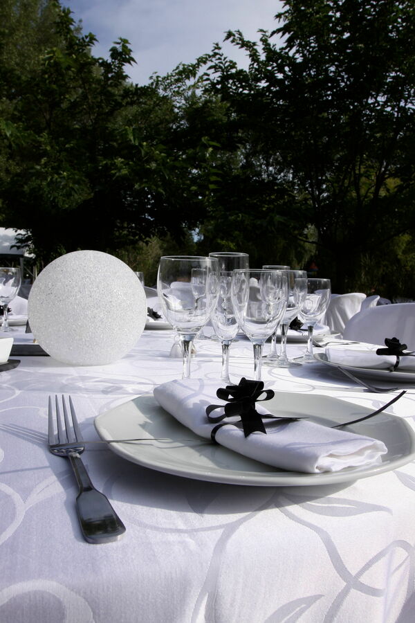 GARDEN PARTY