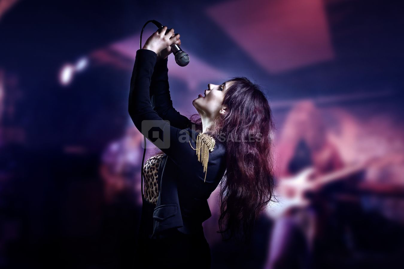 ANIMATION - CHANTEUR