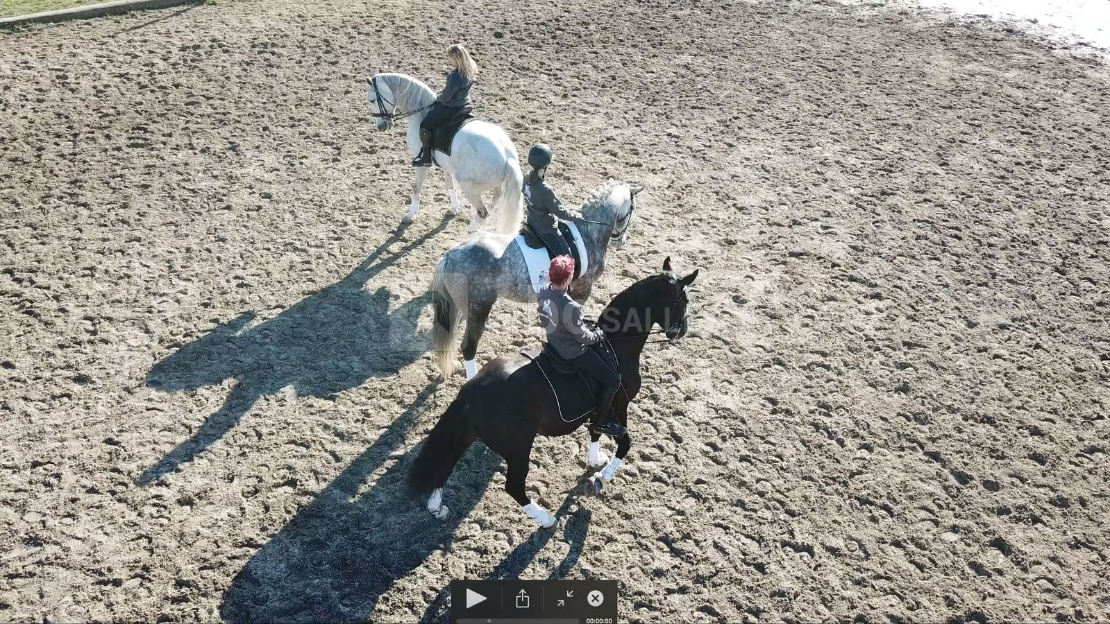 ANIMATIONS - EQUESTRE