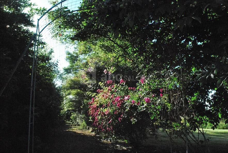 Ambiance champêtre