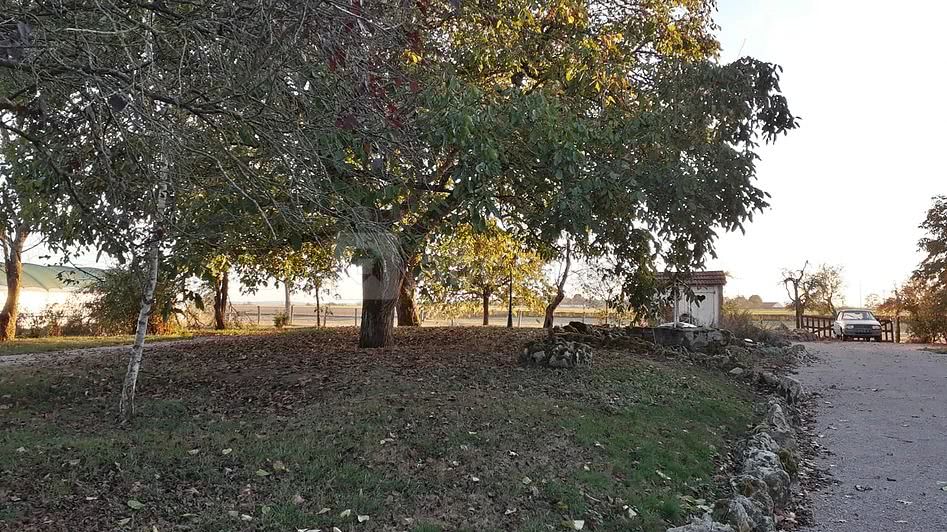 Ambiance champêtre