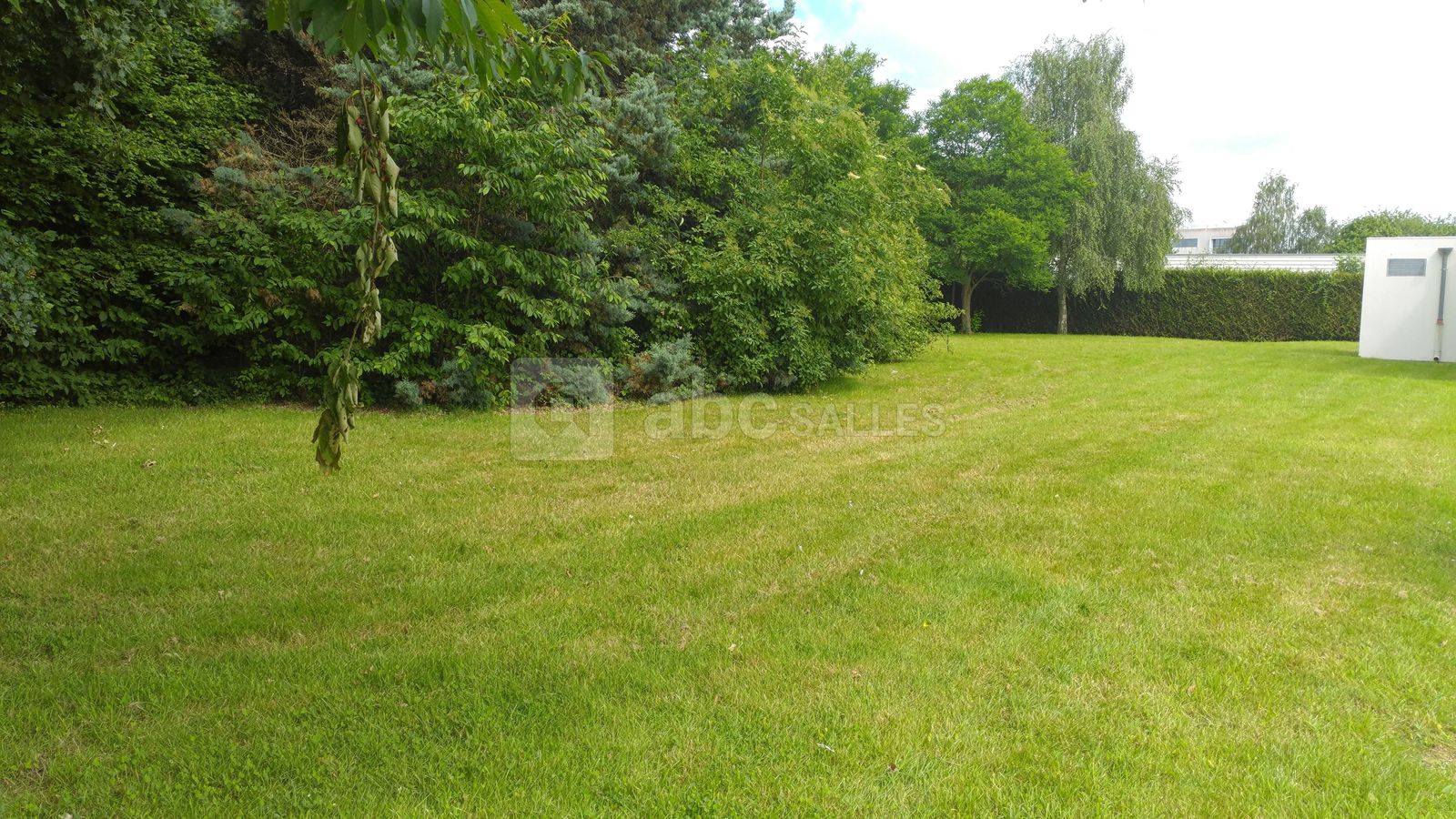 Espace vert
