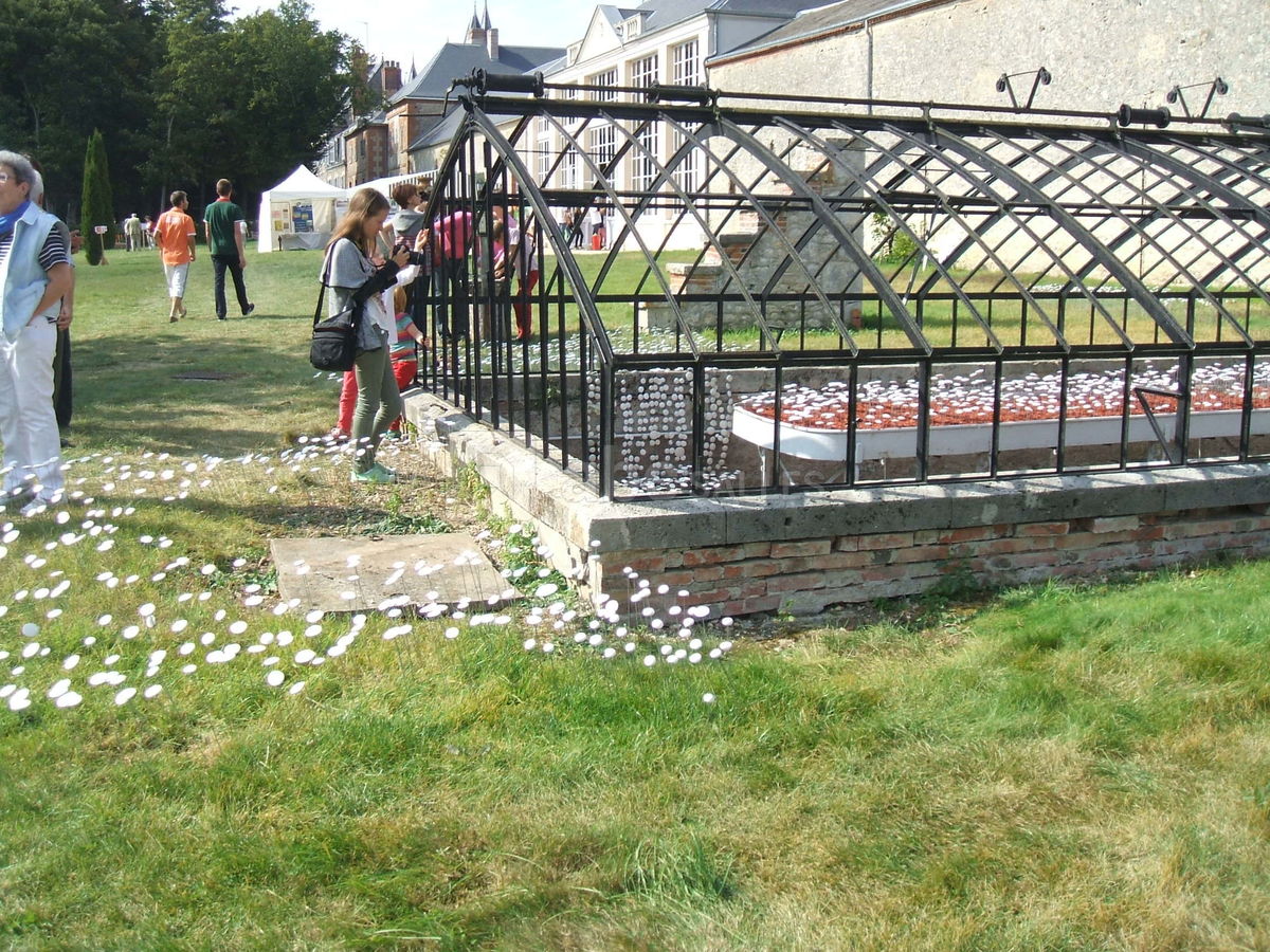 Jardin et serre