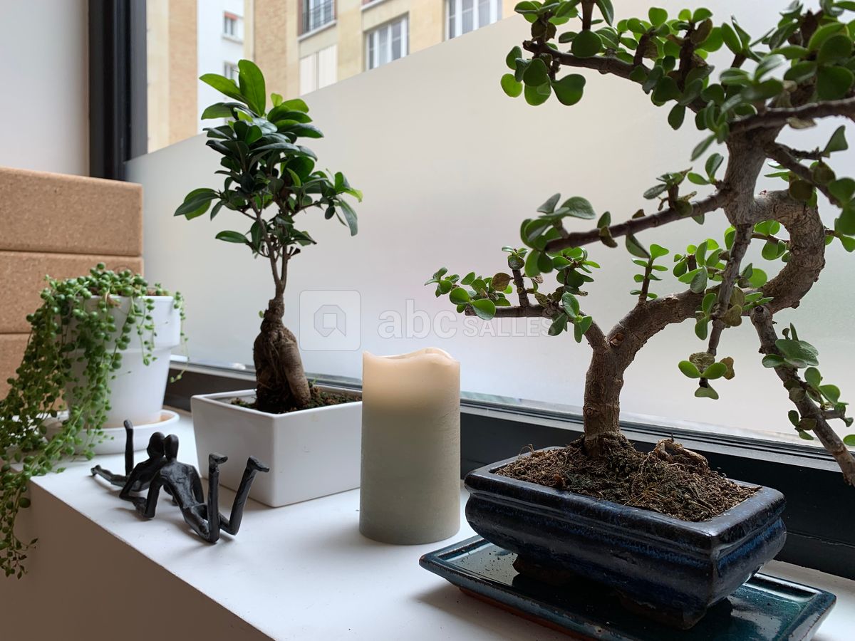 Décoration