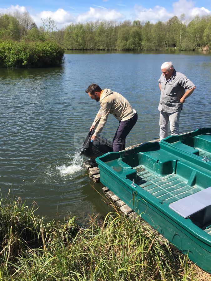 Pêcheur : réempoissonnement