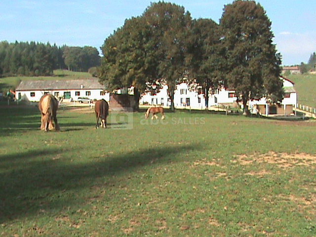 Salle du Marquis Domaine de Laire